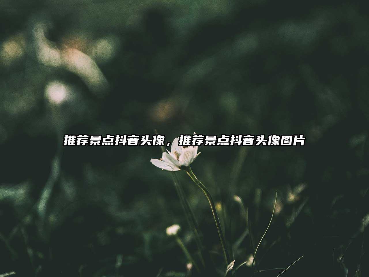 推薦景點(diǎn)抖音頭像，推薦景點(diǎn)抖音頭像圖片