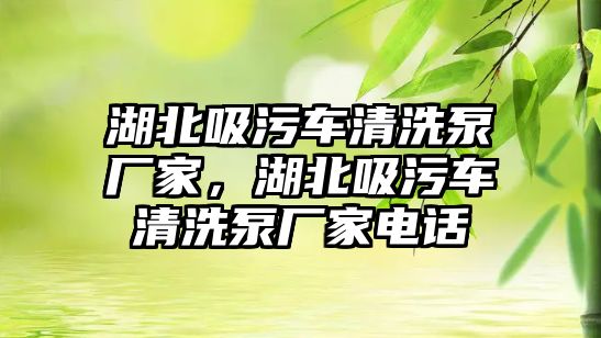 湖北吸污車清洗泵廠家，湖北吸污車清洗泵廠家電話
