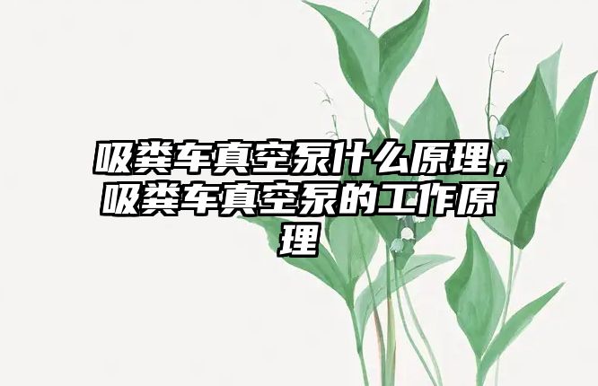 吸糞車真空泵什么原理，吸糞車真空泵的工作原理