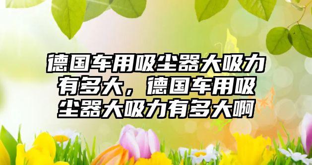 德國車用吸塵器大吸力有多大，德國車用吸塵器大吸力有多大啊