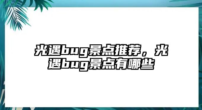 光遇bug景點推薦，光遇bug景點有哪些